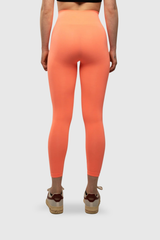 Climaqx Elevate Seamless Leggings