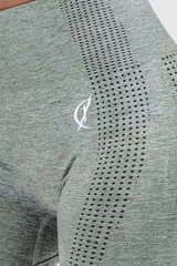 Climaqx Adapt Seamless Leggings