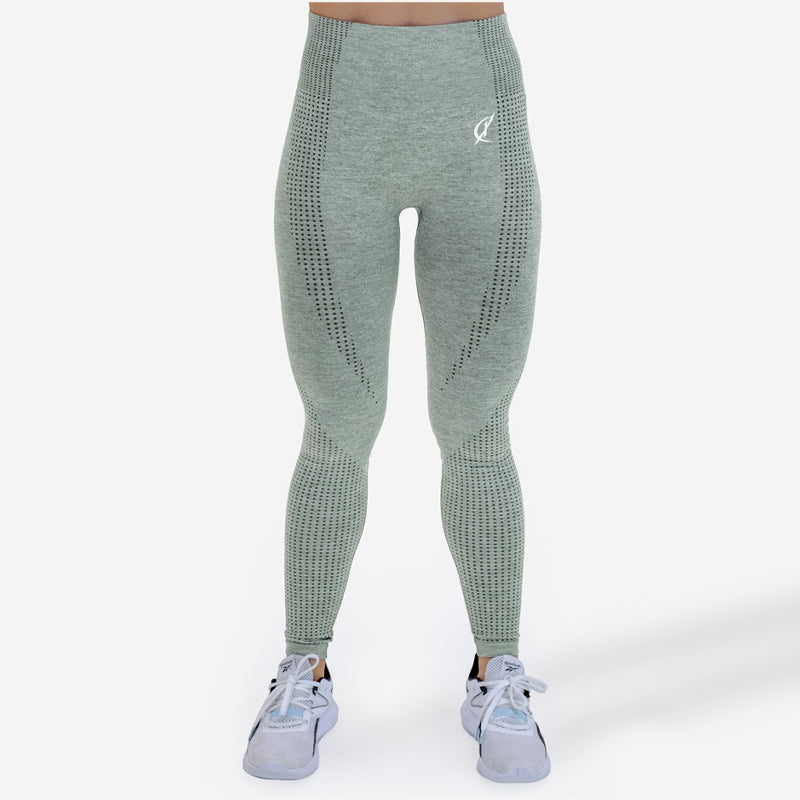 Climaqx Adapt Seamless Leggings